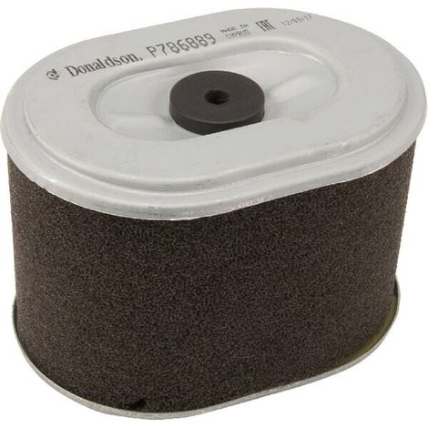 Filtro aria DONALDSON P786889