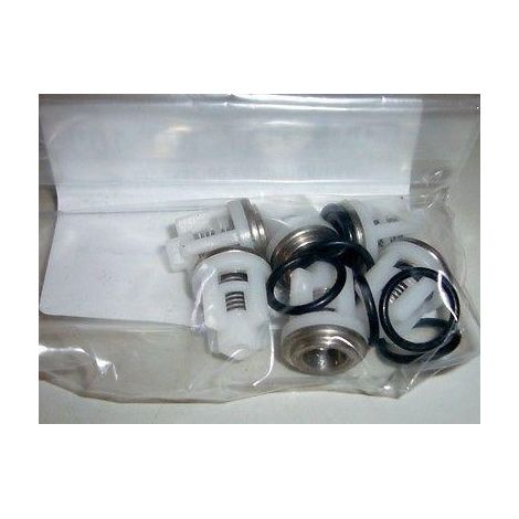 KIT VALVOLE ORING IDROPULITRICE POMPA LAVORWASH DANUBIO LMX TOPCAT NPX LKX (1/2)
