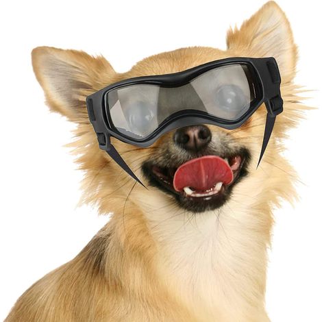 1 Lunettes de protection pour chien, bande élastique ajustable, lentilles polycarbonate, pare-vent, pour petit chien (1/5)