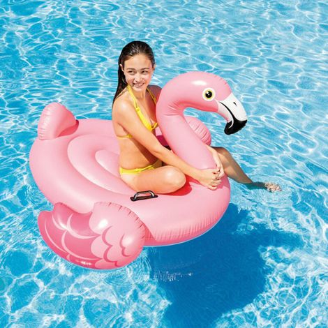 Small Inflatable Flamingo Stand Water Toy for Kids (1/4)