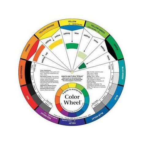 Cercle chromatique couleur diamètre 24cm