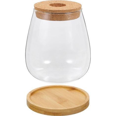 Glasvase und Geschenk für Sukkulenten und Blumen als