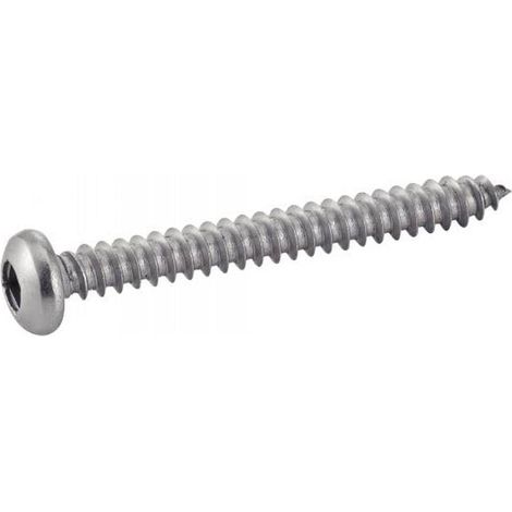 100 Vis à Tôle Tête Cylindrique Empreinte Carrée 4.8 x 120 mm - DIN 7981 - Inox A2 - D-Work
