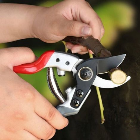 Lot de 6 Ressort de compression, Acier inoxydable, Facile à installer, Pour sécateur et cisaille, Jardinage (1/4)