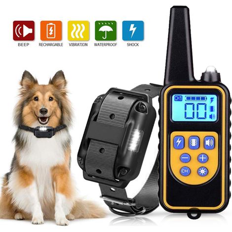 Collier de dressage chien télécommande 800m étanche rechargeable 1-99 vibrations (Petit/Moyen/Grand)