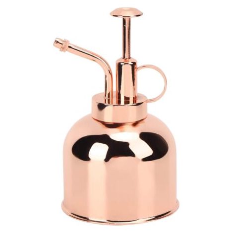 Pair - Vaporisateur d'Arrosage pour Plantes, Arrosoir Vintage pour Arroser de Petites Plantes de la Maison, Bureau(Or Rose) (1/5)