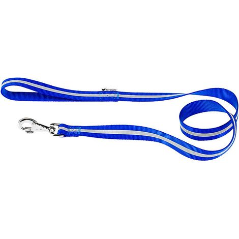 Ferplast CLUB REFLEX G Guinzaglio riflettente per cani completo di moschettone automatico - varie misure e colori. Variante G20/120 - Misure: 20 mm x L 120 cm - Blu