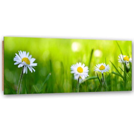 Quadro deco panel, Margherite nell'erba 1 pezzo - 120x40 (1/5)