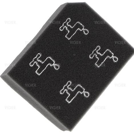 Filtre mousse pour aspirateur Cyclone Electrolux 2194113029 2194113029 Electrolux (1/5)