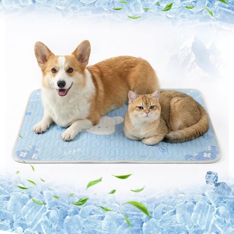 Tapis Rafraîchissant pour Chiens et Chats 50x40cm, Lavable en Machine - Motif Ours Bleu,Matelas Auto-Rafraîchissant en Tissu Glace & Remplissage Latex (1/5)