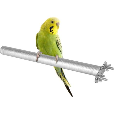 Stainless Steel Perch for Birds, Grinding Claws for Parrots, Beak Cutters, Nails, Grinding Stick for Birds, Parrots, Cockatiels, Parakeets, Conures, African Grey Aras, Finches (1/5)