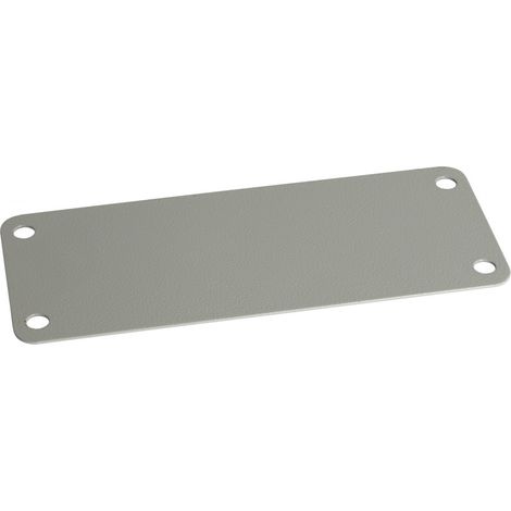 Schneider NSYAECPFLBP Cache pour découpe FL 21 (1/4)