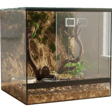 Terrario, construcción de vidrio, uso versátil, transparente (1/2)