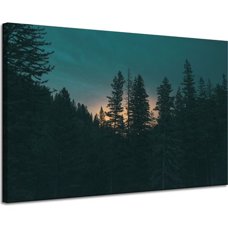 Leinwanddruck Natur Wald in der Abenddämmerung 120x80 cm Dunkelheit