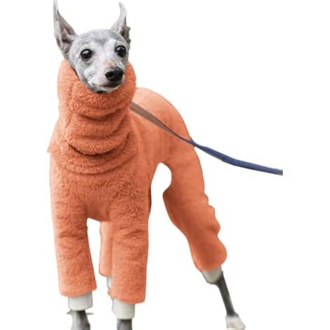 Vêtements d'hiver pour Chien, Pyjamas à col roulé pour Chien Épaississant (1/5)