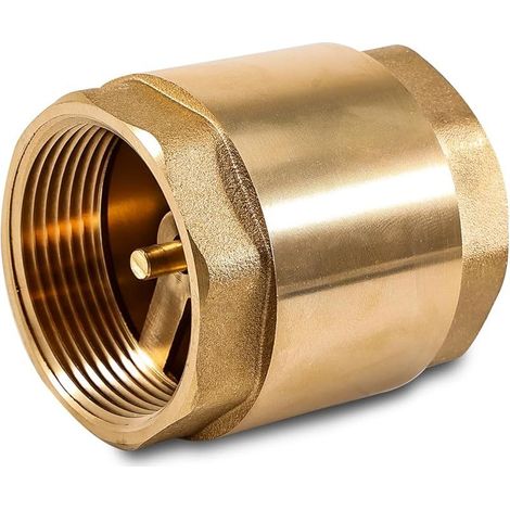Clapet anti-retour en laiton de 2" avec filetage intérieur DN50 universel avec filetage intérieur des deux côtés, clapet anti-retour vertical en laiton de 2 pouces, clapet anti-retour d'eau (1/5)