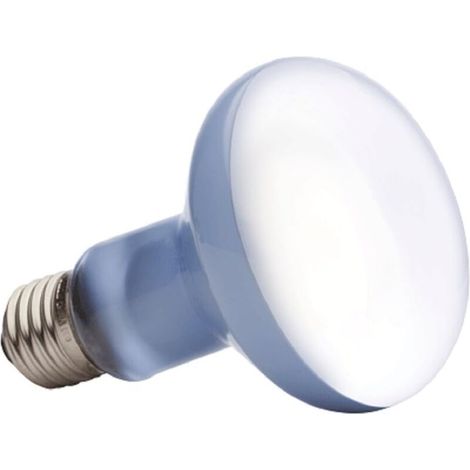 UVA- und UVB-Reptilienlampe, 100 W, Wärmelampe für Schildkröten, Amphibien und Echsen, Temperaturregler (1/4)