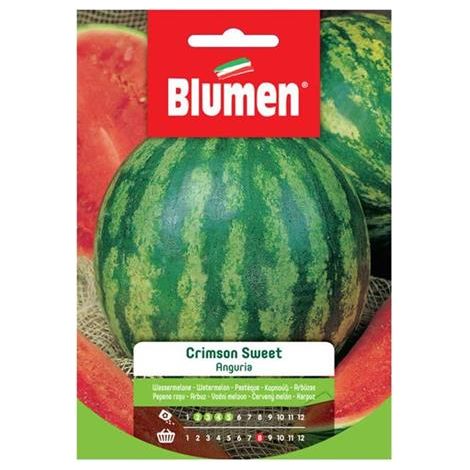 Semi Blumen anguria crimson sweet (1/2)