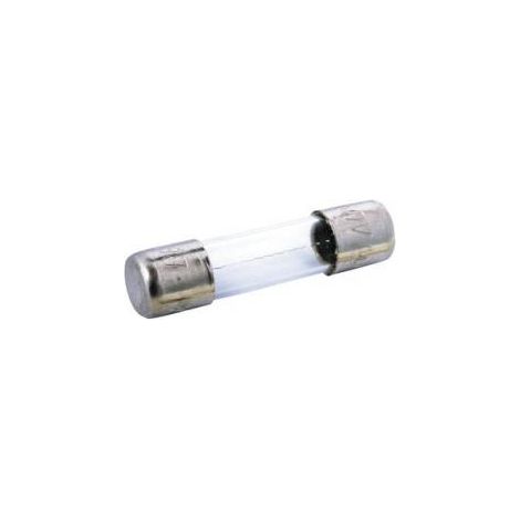 Fusible de tubo de vidrio F4A 20 mm 250 V (10 unidades)