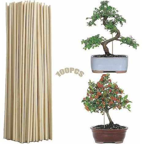 100 Pieces Canne De Bambou (3mmx20cm) Jardin De Canne Piquet De Jardin Baton De Bambou Support De Plante De Btons Support Vgtal De Bricolage Btons (1/5)