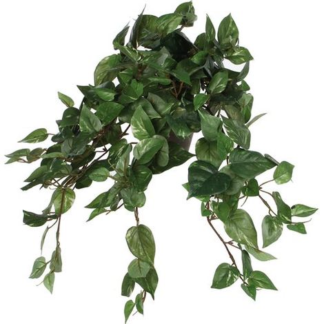 Mica Decorations Plante suspendue artificielle Vert H25xl25xL45cm (1/5)