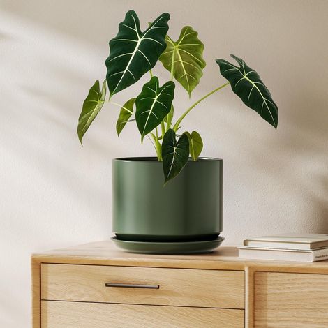 Keramik-Blumentopf 20cm mit Untersetzer, Grün, für Zimmerpflanzen (1/5)