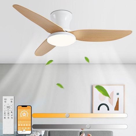 Ventilateur de plafond de 100 cm avec éclairage, contrôle par télécommande ou application, 6 vitesses de ventilation, minuterie (1/5)