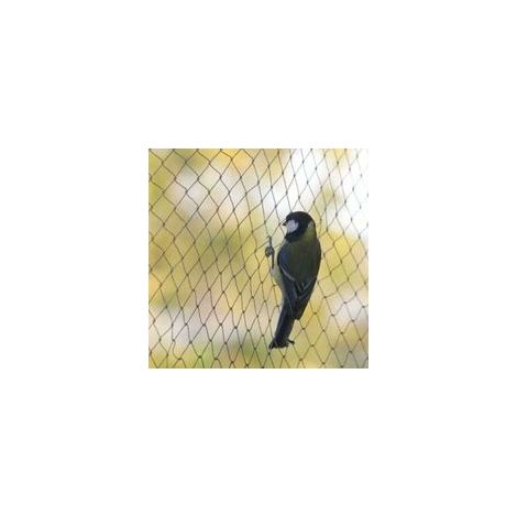 Filet antioiseaux, Maille 【1,51,5 cm】10 m 5 m , filet antioiseaux, filet de protection solide pour bassin de jardin, pour fruits, légumes