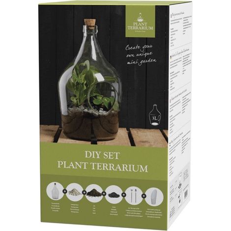 Terrarium végétal à faire soi même 3 litres