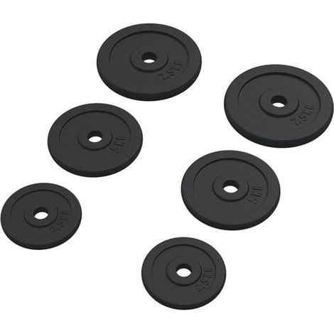 disques de barre en fonte de 30 kg (1/5)