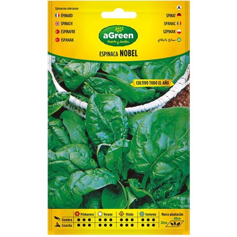 Bustina con semi di spinaci Nobel 000383BOLSH Agreen