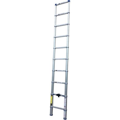 Xtenso Leiter 10 Stufen