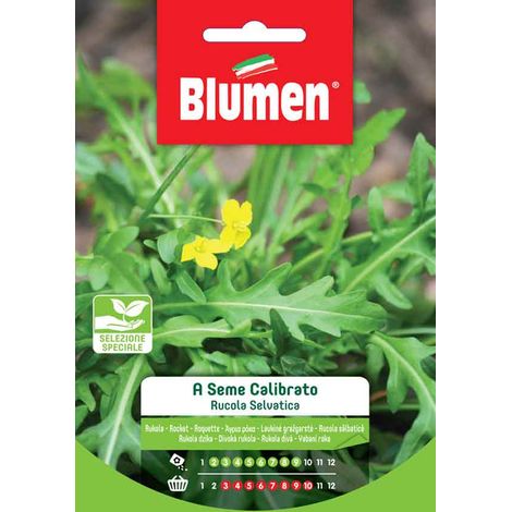 SEMI RUCOLA SELVATICA A SEME CALIBRATO BLUMEN