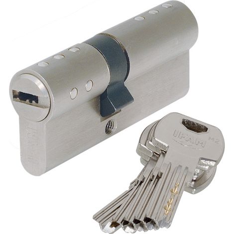 Cylindre double rx - varié 5 clés - A : 30 - Longueur : 30x50 - B : 50 - IFAM