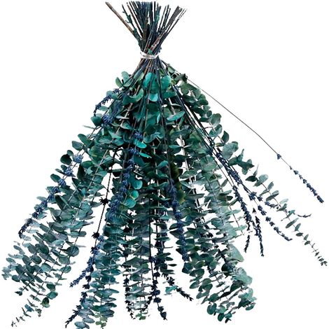Tiges de feuilles d'eucalyptus séchées, véritable eucalyptus naturel, décoration pour salle de bain (1/5)