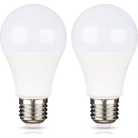 E27 9W 220V LED Blanc Froid 6500K pour Camping, Équivalent Halogène 75W, Ampoule LED AC DC 12 Volt 24 Volt E27 pour Pannneau Solaire/Garage/Jardin, non-dimmable, lot de 2 [Classe énergétique A+] (1/5)