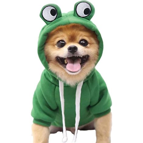Déguisement de grenouille pour chien, taille L, sweat à capuche polaire, pour Halloween/Cosplay, 1 pièce (1/5)