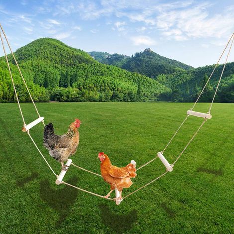 Échelle de divertissement en bois pour poules et oiseaux, perchoir suspendu pour poulailler et aire de jeux