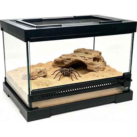 Terrarium en verre pour reptiles - Réservoir cage habitat d'enclos pour grenouilles, araignées, mante religieuse, cricket, tarentule, bernard-l'ermite (30 x 20 x 17 cm) (1/5)
