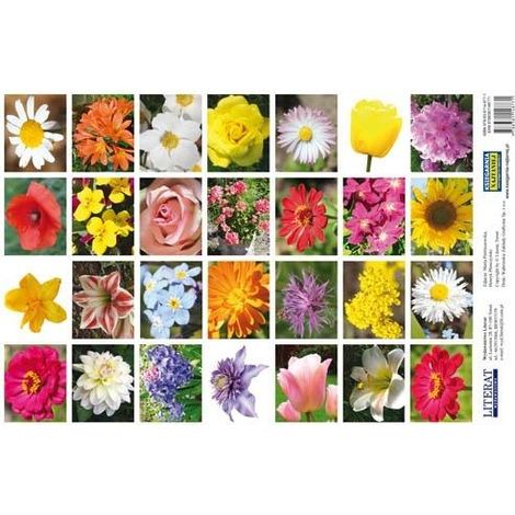 Autocollants. Fleurs