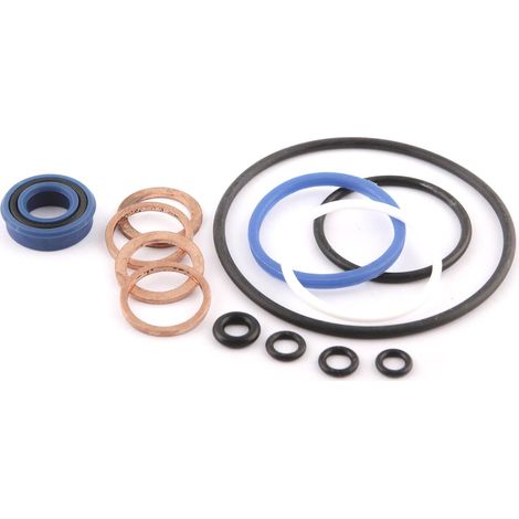 Kit joints pour vérin presse 30T (SA 0831) et presse hydraulique 30T (OH 0830) - SA 0830 - CLAS Equipements