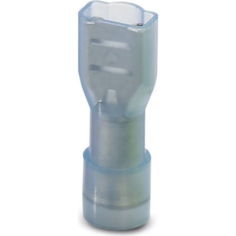 Cosse clip 4.8 mm x 0.8 mm Phoenix Contact C-SCFFI 2,5/4,8X0,8 3240540 180 ° entièrement isolé bleu 50 pc(s)