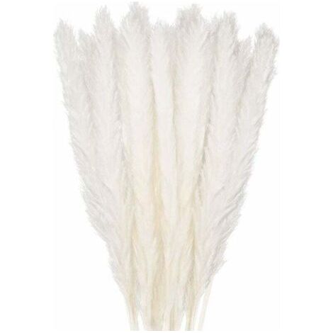 30 pcs Pampas Grass, 58 cm Natural Pampas Flower Bouquet of Dried Flowers for Vases, White Boho Decoration Bedroom Home Living Room, Wedding Photographing Table Decoration (1/5)