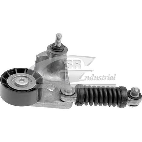 3RG 13316 RODILLO TENSOR