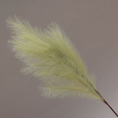 Conti Ramo Pampas 105 Cm Green