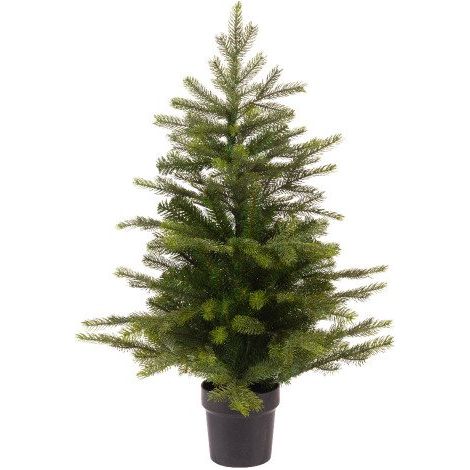 Sapin MINI GRANDIS avec pot - Hauteur 60 cm - Maxiburo