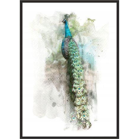 Bild Poster im Rahmen 43x33 cm Pfote P768 (1/4)