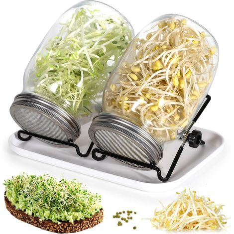 2 Bocal De Germination, Verre 1000ml, Couvercle Grille Inox, Support Réglable, Plateau, Cuisine Intérieur