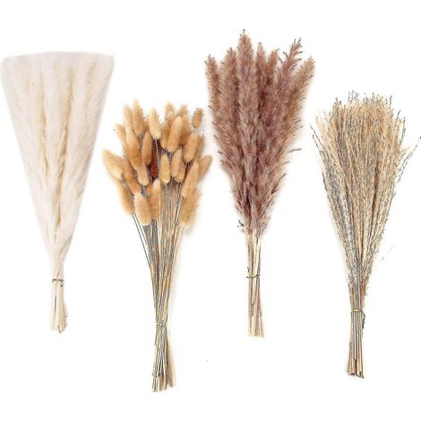 100 rametti di erba della pampa essiccata, bouquet decorativo, adatto per matrimoni, feste e decorazioni boho.
