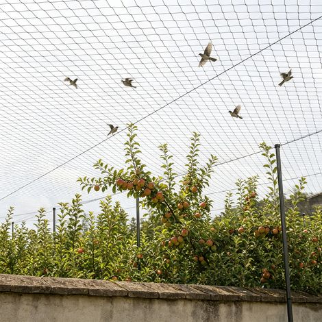 【Maison connectée】15x30 mètres filet anti - oiseaux filet de jardin filet anti - défoliation filet étang filet de protection des oiseaux filet de couverture (1/5)
